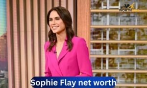 Sophie Flay net worth 2026, journalist and ABC News correspondent