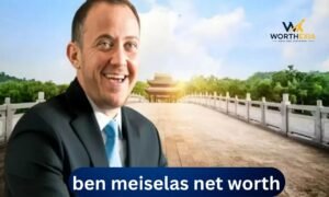 Ben Meiselas net worth and his legal and media career